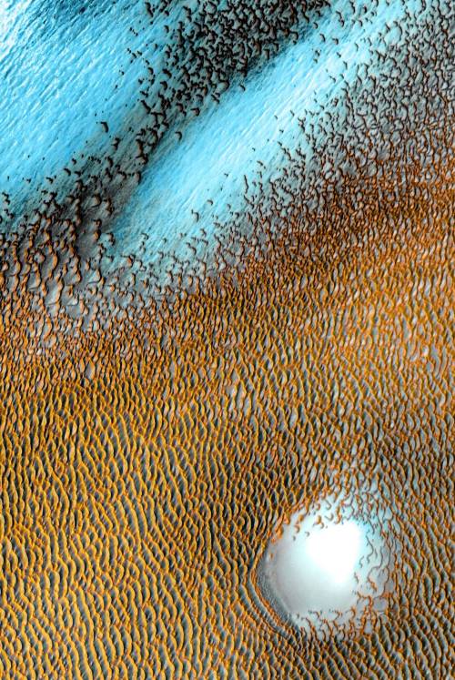 A sea of dark dunes, sculpted by the wind into long lines, surrounds Mars’ northern polar cap 