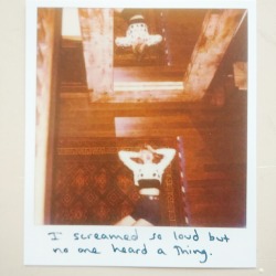 :  Polaroid #47 