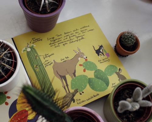  Back in May this year, I made a small zine about cacti, because I love them! Some people expressed 