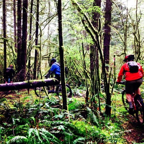 stumptownrider: Easter Day ride with some great friends #mtb #mountainbiking #riding (at Stella Trai