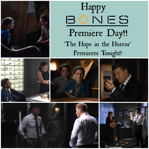 happy bones review