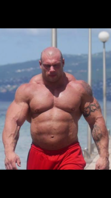 Musclemechanic