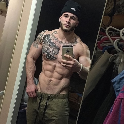 Adonis Files