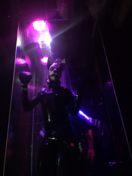 Porn Pics pupbolt:  squeakpup:  Showering with rubber