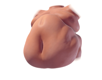 tblumpkins:  I found a good way to simulate fat jiggling, did some test gifs!  I need so much more of this.