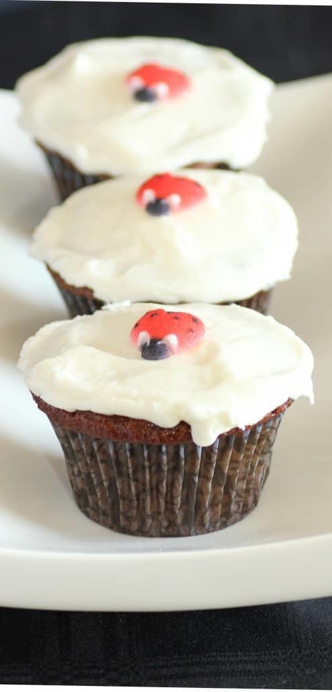 Summertime Cupcakes