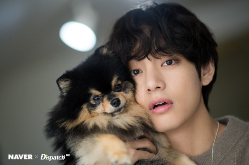In Celebration Of V's Birthday Dispatch X Naver Released Photos Of Taehyung With Yeontan