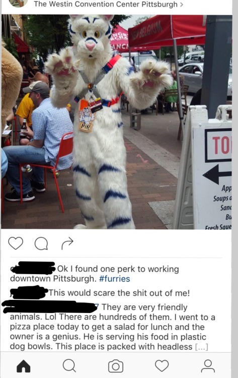 skellydun:  my aunt just discovered furries save her