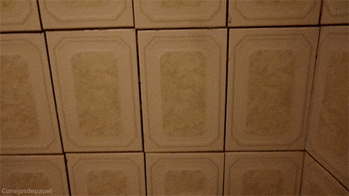conejosdepapel:  Con MUCHAS ganas de ir al baño / con ganas normales de ir al baño