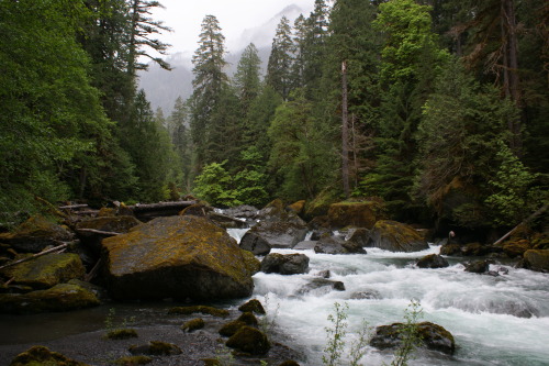 Spring flow in the Southern Olympics