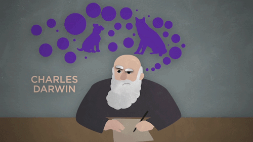 150 years ago today, Charles Darwin published a puzzle - why do some dogs have droopy ears when the 