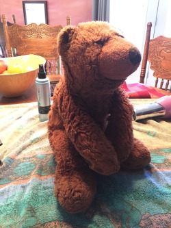 tommyslittlerose:  ✨ATTENTION ALL LITTLES, CAREGIVERS, AND PEOPLE WITH PRECIOUS STUFFIES: ✨  this is Max, my most beloved bear of all time. He’s over 20 years old and I sleep with him every single night. Well as you can see, max wasn’t looking