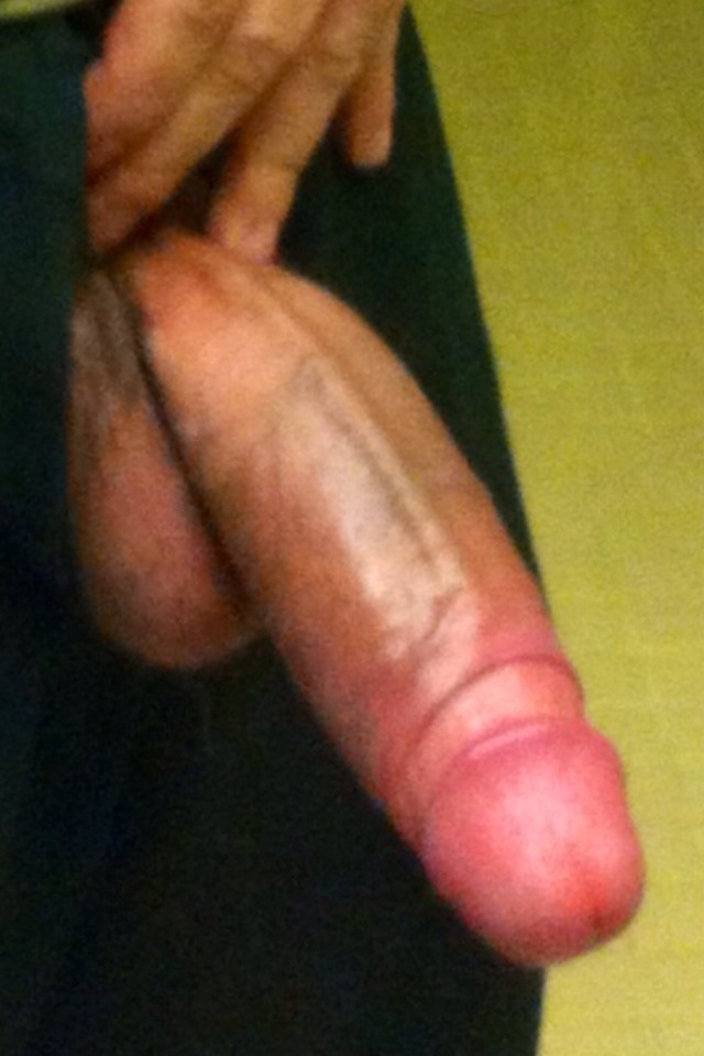 bitebienveinee:  A great veiny shaft selected by Bite Bien Veinée / Veiny cock 