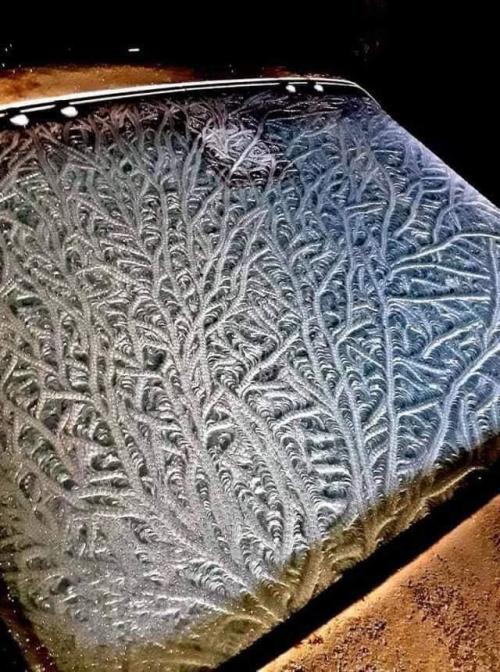 XXX sixpenceee:   Windshield froze over during photo