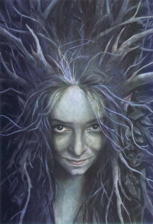 jo-cat:by Brian Froud