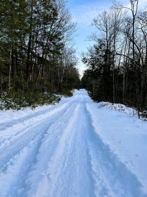    Mountain Biking in the Snow?Yes you can do it, but you have to stay on the packed areas. As soon 