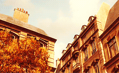 maybelleteas:  Beauty in Animated Movies: Ratatouille (2007)           