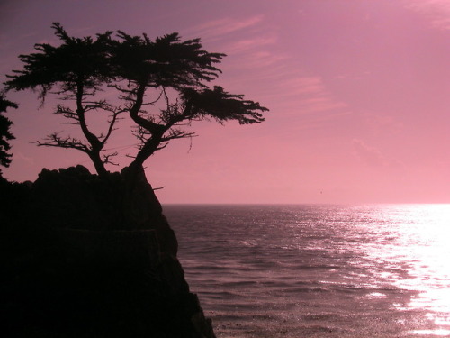 Nik Roby aka Tricky Nik - Sunset At Cyprus Point On Pebble Beach, Monterey, CA, USA, 2003 Photograph