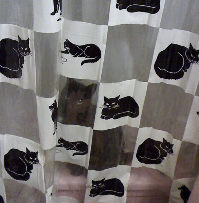 blondibooo:  srsly-cereal:  meowoofau:  13 cats failing at hide and seek As good