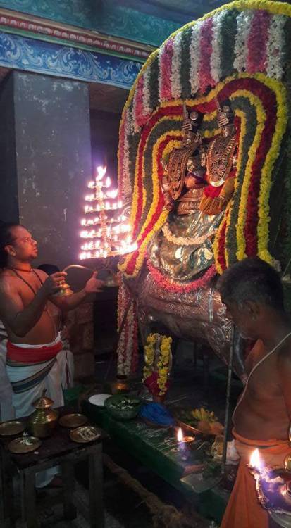 Brahmin priest worshipping Shiva and Parvati, Tamil Nadu