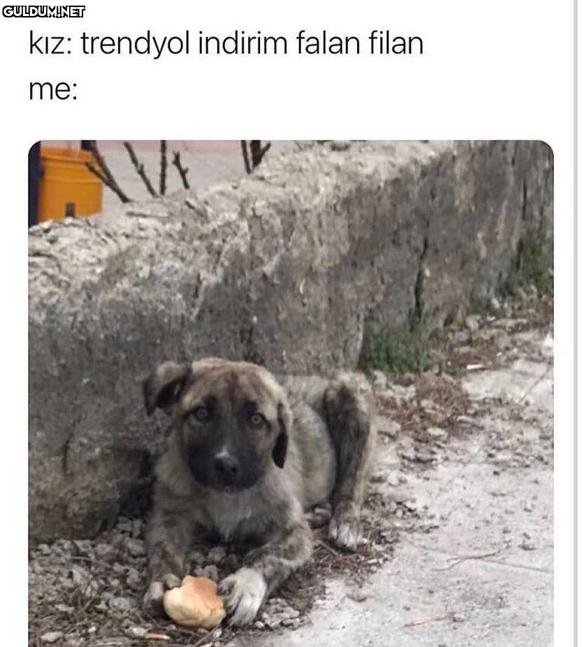 Trendyol, kadın-erkek...