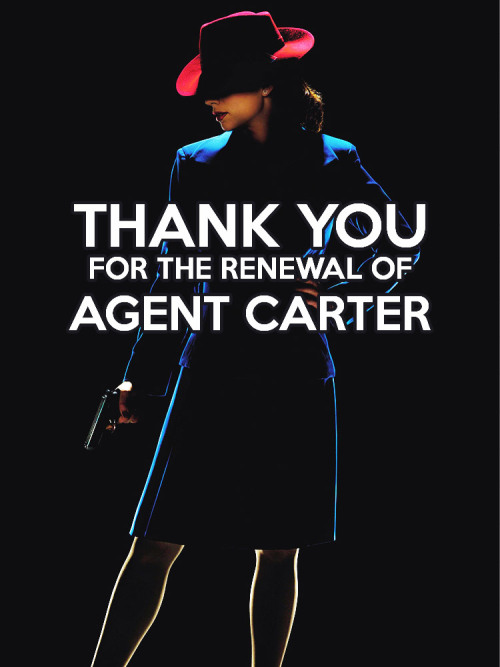 ABC has officially picked up Agents of S.H.I.E.L.D. for a third season and Agent Carter for a second