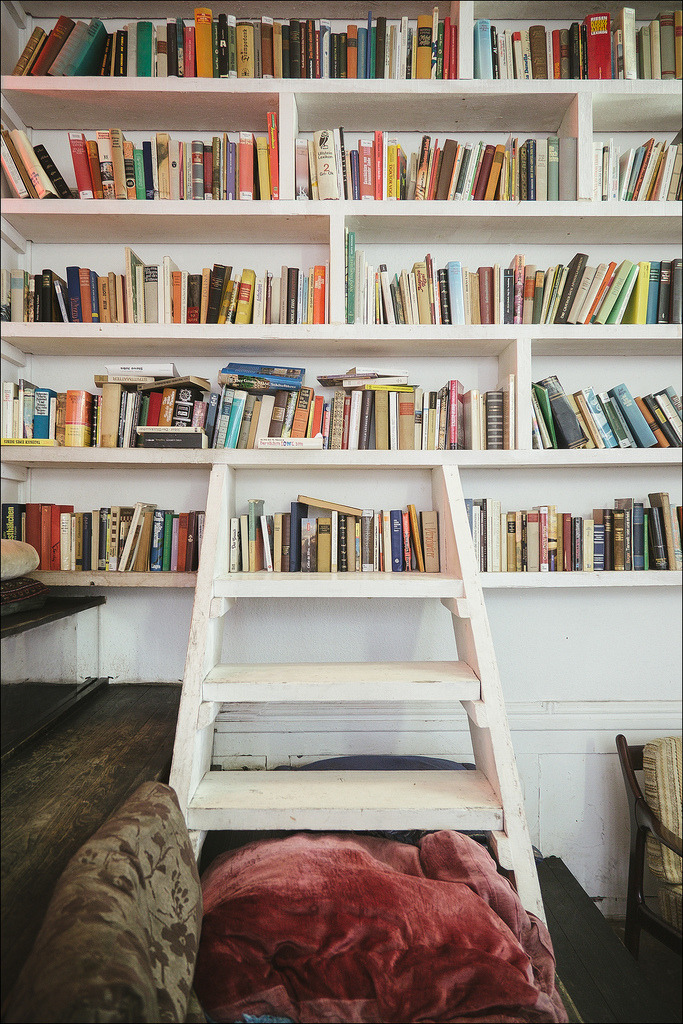 teachingliteracy:  books &amp; ladder (by patrickbraun.net) 