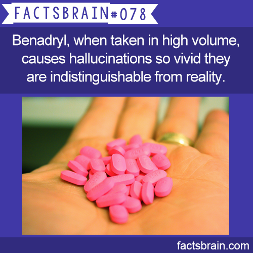 cat-pun:  sha-ka-brah:  cpecod:  endofmybed:  malira:  factsbrain:  Benadryl, when taken in high volume, causes hallucinations so vivid they are indistinguishable from reality. - weird, interesting & funny facts  SIGNAL BOOST the hallucinations