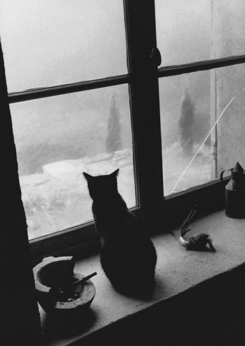 birdsong217:Willy RonisGordes, France. December, 1957. 