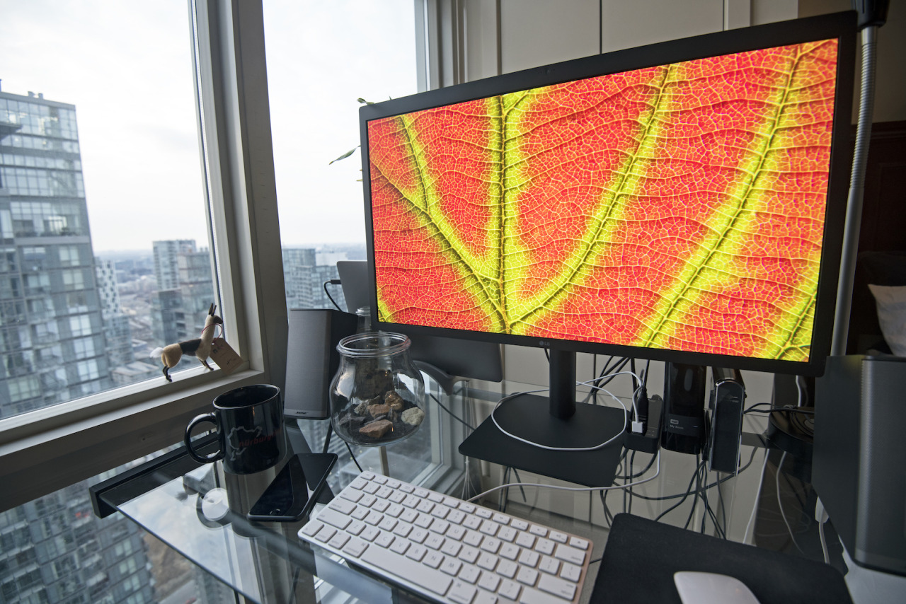 ジャンク】LG UltraFine 5K display