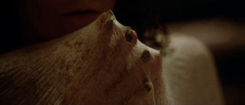 whatsuphotdogg:Alien Resurrection (Jean-Pierre Jeunet, 1997)