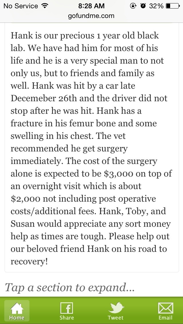 nipbar:  This is most likely all I will be posting about for a while. My dog was