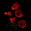 cradleofpoppies-devotion