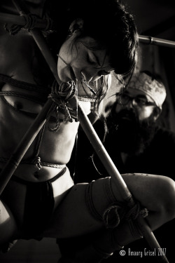 amaury-grisel-shibari:  @calamitystephsociopathe​