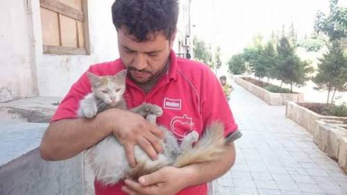 catsbeaversandducks: Mohammad Alaa Aljaleel, the Cat Man of Aleppo, was officially nominated for the