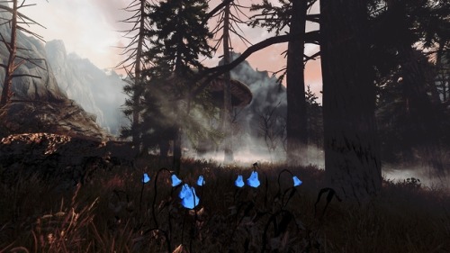darkfantasyskyrim: Witchmist Grove + Technicolor Alchemy overhaul + Flower Fields