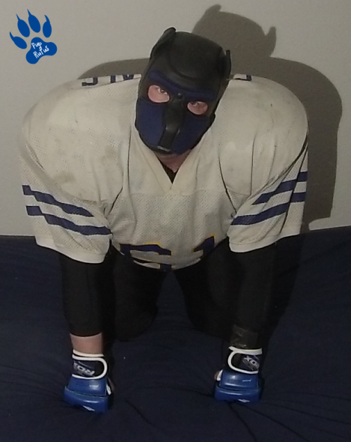 Rufus Trying On His Football-Gear - It Still Fits.