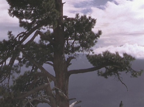 lairreparablefugadeltiempo:The Trail of the Lonesome Pine (Henry Hathaway, 1935)Niagara (Henry Hatha