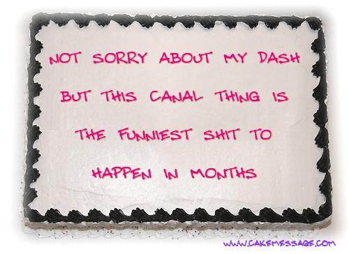 girlboss-rangi:[ID: a white cake with a chocolate border and pink text in all caps that says, “not sorry about my dash, but this canal thing is the funniest shit to happen in months.” at the bottom of the image, it says ‘www.cakemessage.com’.
