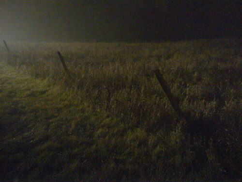 Matthew LaCroix, these are three fence posts in a grassy field, 2017