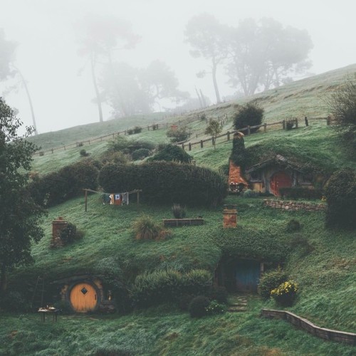 Living in the land of the Hobbits, Kyle Kuiper