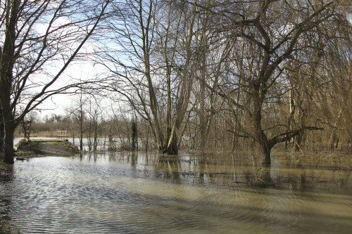 Canterbury Flooding
