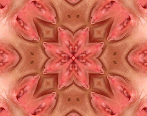 Porn Pics kaleidoscopepussy:  wow, such a juicy pussy!