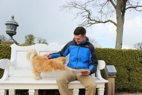 A sweet moment at Wimpole Hall with a resident ginger cat.