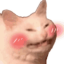 phonkylittleman
