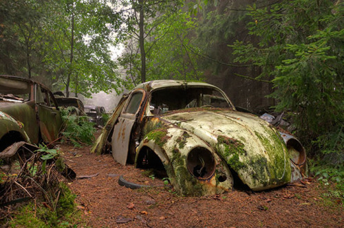 bobbycaputo:Spectacular 70-Year-Old Traffic Jam In A Belgian ForestPhotographed by Rosanne de Lange,