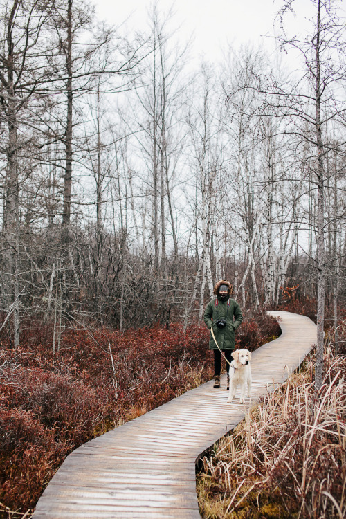 Chilly December walk. 12.16.15