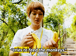 Rogue Onew