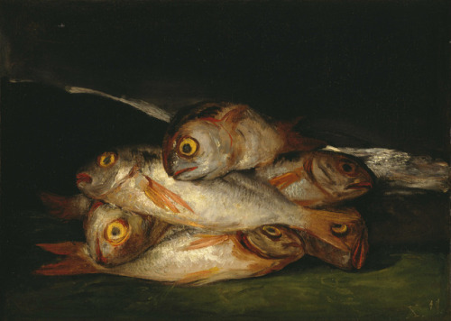 thatsbutterbaby:Francisco de Goya, Still Life with Golden Bream.