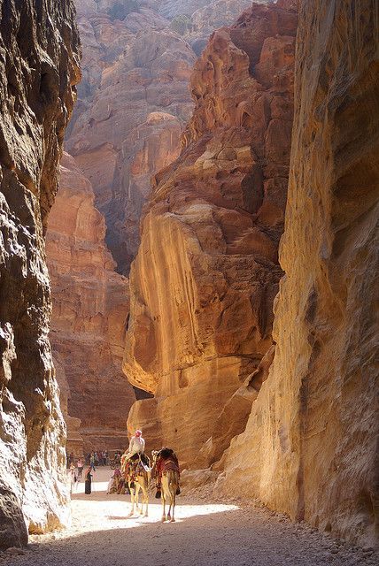 Petra: The capital of the Nabataeans and the Center of Their Caravan TradePetra is a historical and 